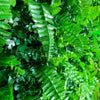 Image of Wild Tropics Artificial Vertical Garden Panel leaves up-close image 