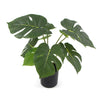 Image of Potted Artificial Split Philodendron Plant With Real Touch Leaves 35cm