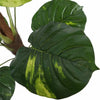 Image of Artificial Potted Pothos Plant With Pole 100cm