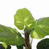 Image of Artificial Potted Pothos Plant With Pole 100cm
