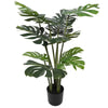 Image of Split Philodendron (Split Leaf) 120cm