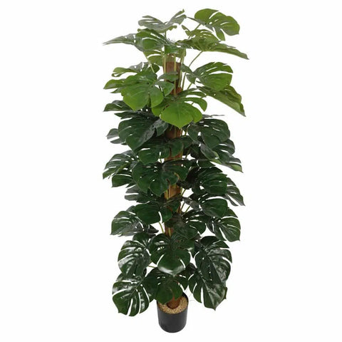 Artificial Monstera Adansonii Money Plant 180cm