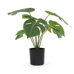 Potted Artificial Split Philodendron Plant With Real Touch Leaves 35cm