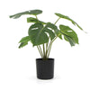 Image of Potted Artificial Split Philodendron Plant With Real Touch Leaves 35cm