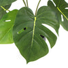 Image of Potted Artificial Split Philodendron Plant With Real Touch Leaves 35cm