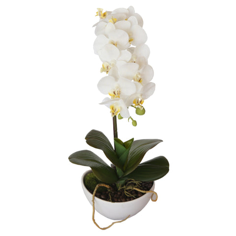 46cm Artificial Butterfly Orchid (White) With Pot