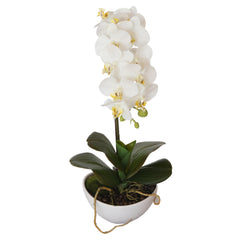 Image of 46cm Artificial Butterfly Orchid (White) With Pot
