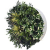 Image of 60cm Outdoor Artificial Green Wall Disc UV Stabilised