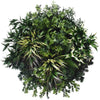 Image of 60cm Outdoor Artificial Green Wall Disc UV Stabilised