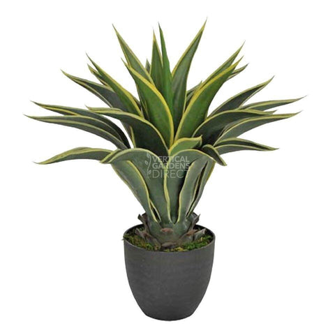 60cm Tall Artificial Agave With Pot