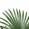 Image of Artificial Wide Leaf Fan Palm Tree 90cm