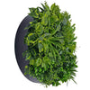 Image of Aloe Vera Circular Artificial Green Wall Disc 80cm