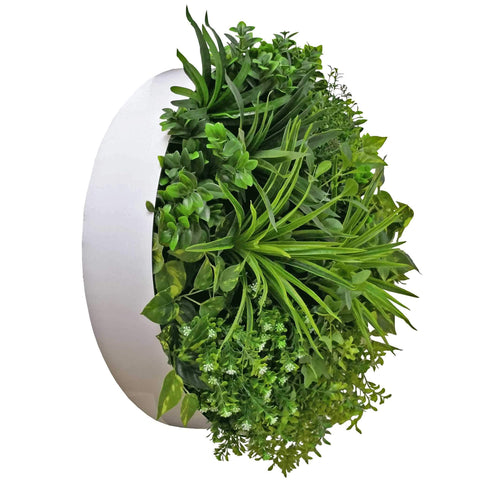 Aloe Vera Circular Artificial Green Wall Disc 80cm