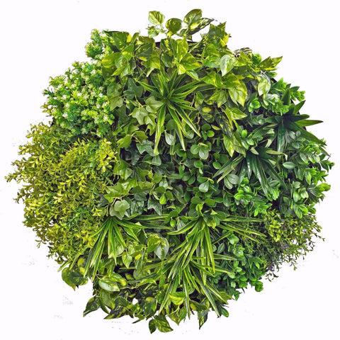 Aloe Vera Circular Artificial Green Wall Disc 80cm