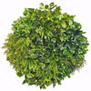 Image of Aloe Vera Circular Artificial Green Wall Disc 80cm