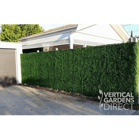 Artificial Boxwood Hedge Wall Panel Sample