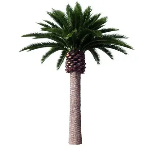 Tall Artificial Canary Palm Tree (3m To 6m) UV Resistant