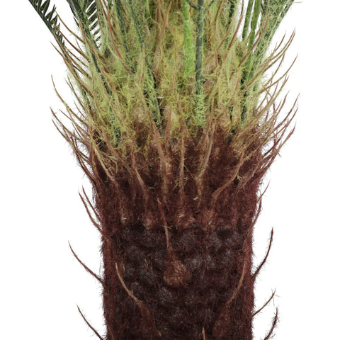 Artificial Cycas / Cycad Palm Tree 105cm UV Resistant