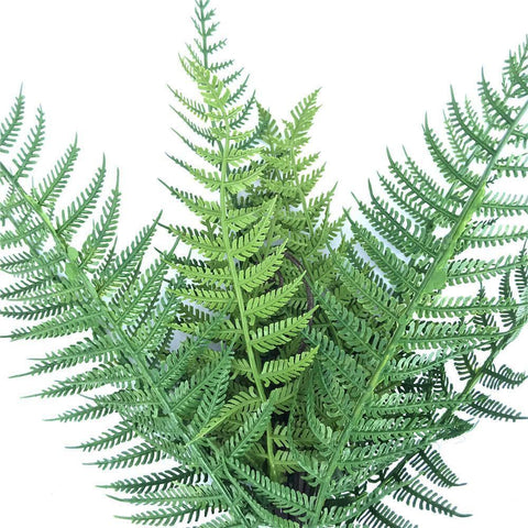 Artificial Dark Fern 38cm Stem UV Stabilised