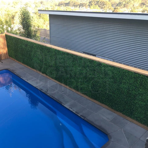 Artificial Deluxe Buxus Hedge Wall Panel 1m x 1m UV Stabilised