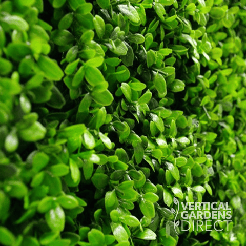 Artificial Deluxe Buxus Hedge Wall Panel Sample