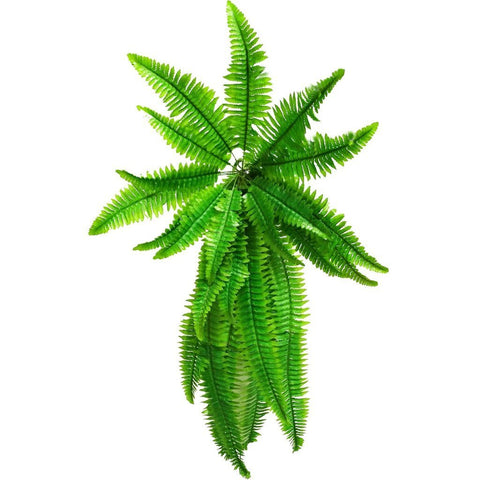 Artificial Fern Plant Stems Variety Pack, Indoor