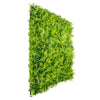 Image of Artificial Fern Vertical Garden 1m x 1m Plant Wall Panel UV Stabilised