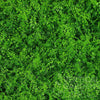 Image of Artificial Fern Vertical Garden 1m x 1m Plant Wall Panel UV Stabilised