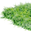 Image of Artificial Fern Vertical Garden 1m x 1m Plant Wall Panel UV Stabilised