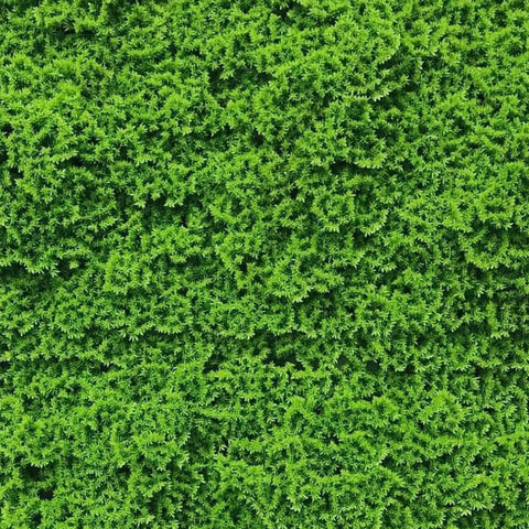 Artificial Fresh Moss Green Wall Panel 1m x 1m UV Stabilised