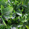 Image of Artificial Green Meadows 1m x 1m Plant Wall Panel UV Stabilised