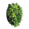 Image of Artificial Green Wall Disc Art 60cm Mixed Green Fern & Ivy - Black