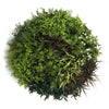 Image of Artificial Green Wall Disc Art 80cm Green Field UV Resistant - Black