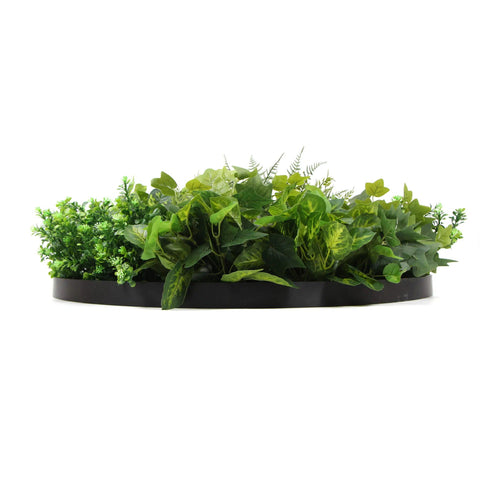 Artificial Green Wall Disc Art 80cm Mixed Green Fern & Ivy - Black