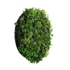 Image of Artificial Green Wall Disc Art 90cm Mixed Green Fern - Black