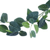 Image of Artificial Hanging Fittonia Garland 190cm