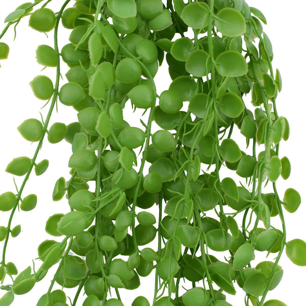 Artificial Hanging String Of Pearls UV Stabilised 90cm – Vertical ...