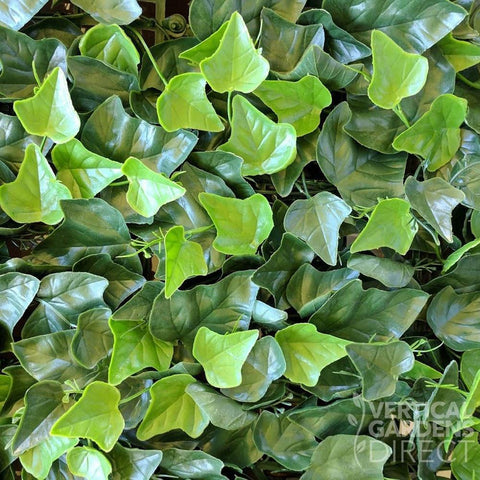 Artificial Ivy Leaf Hedge 1m x 1m Plant Wall Screening Panel UV Protected