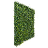 Image of Artificial Jasmine Hedge 1m x 1m Plant Wall Screening Panel UV Protected