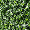 Image of Artificial Jasmine Hedge 1m x 1m Plant Wall Screening Panel UV Protected