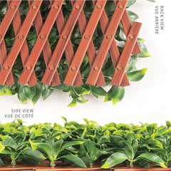 Artificial Jasmine Leaf Extendable Trellis Screen 2m x 1m UV Stabilised