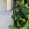 Image of Artificial Jungle Fern Vertical Garden 1m x 1m Panel UV Stabilised