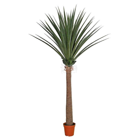 yucca dracaena Artificial Large Dracaena Yucca 260cm – Vertical Gardens Direct
