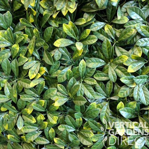 Artificial Laurel Hedge 1m x 1m Plant Wall Screening Panel UV Protected