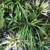 Image of Artificial Lush Fern 90 x 90cm UV Vertical Garden Plant Wall Panel