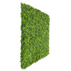 Image of Artificial Mixed Boxwood 1m x 1m Plant Panel UV Stabilised