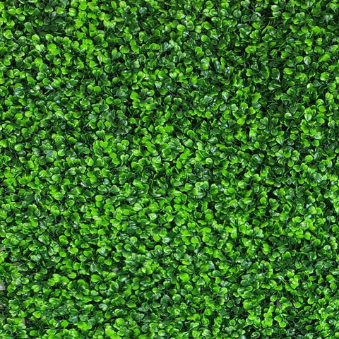 Artificial Mixed Boxwood 1m x 1m Plant Panel UV Stabilised
