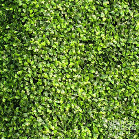 Artificial Mixed Boxwood Freestanding Hedge 1m x 75cm x 30cm UV Stabilised