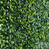 Image of Artificial Mixed Boxwood Freestanding Hedge 2m x 1m x 30cm UV Stabilised