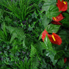 Image of Artificial Mixed Jungle Vertical Garden 1m x 1m Plant Wall Screening Panel UV Protected